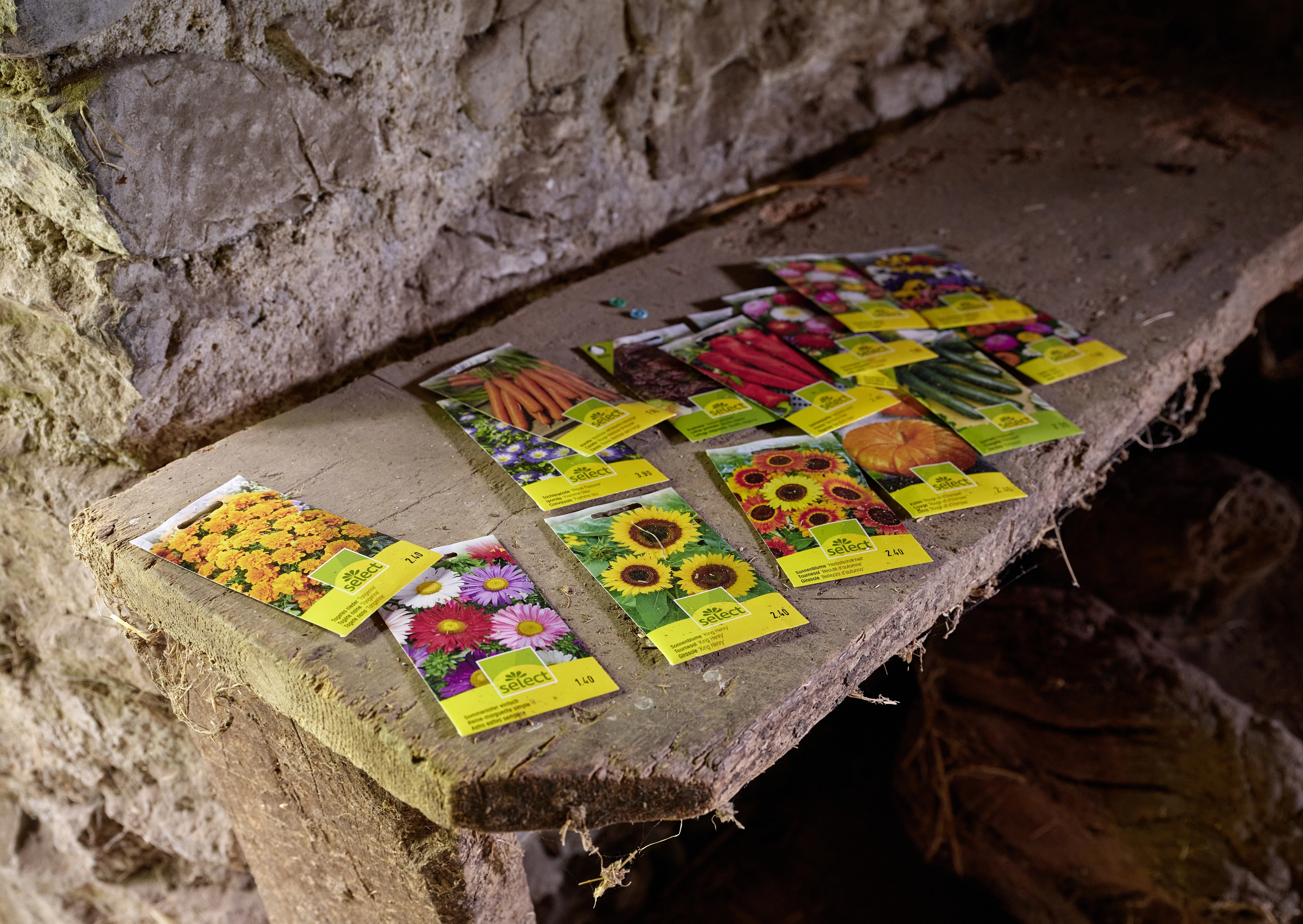 Polly Apfelbaum – Greenhouse, 2022 – Foto: David Aebi