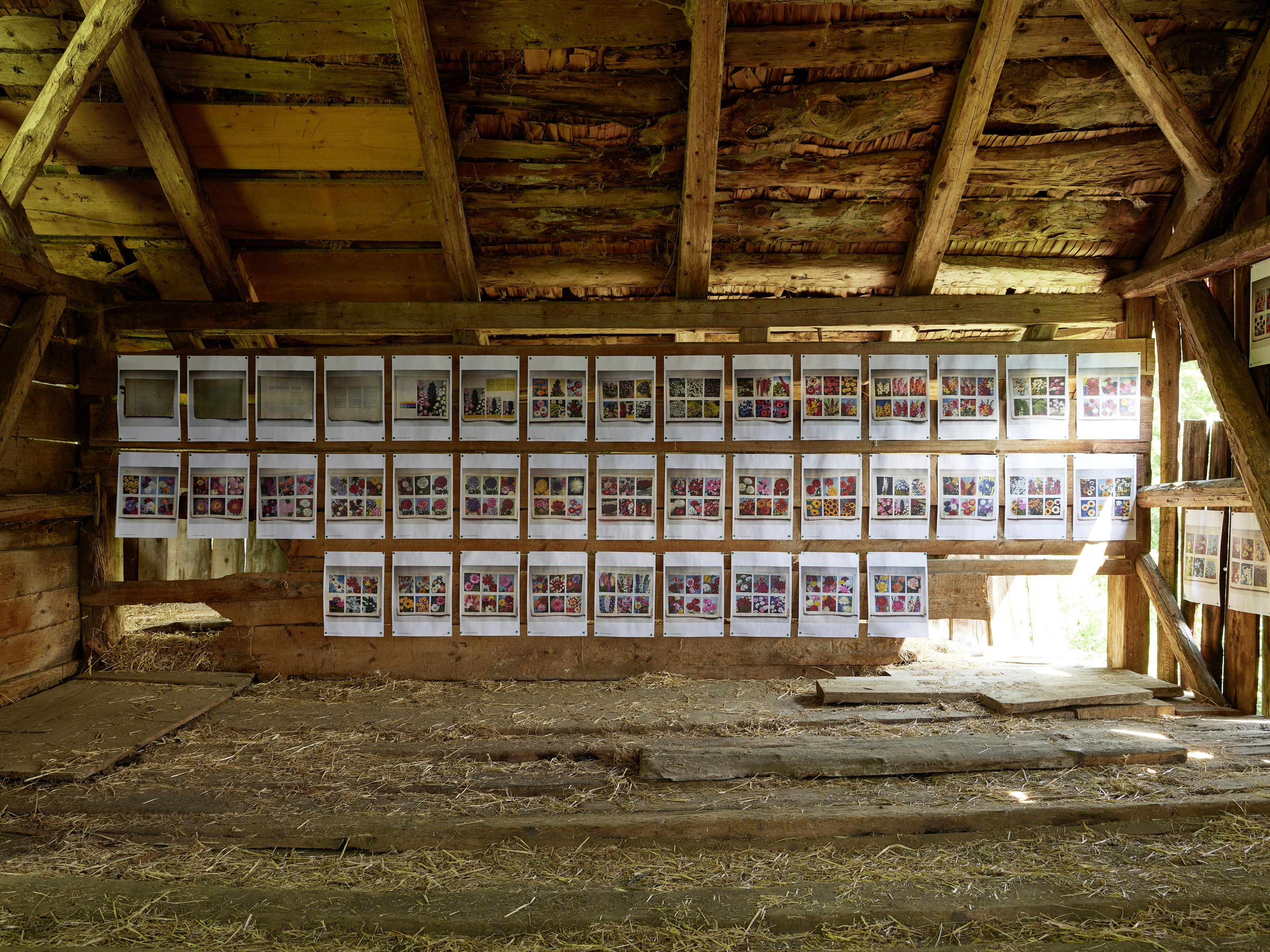 Polly Apfelbaum – Greenhouse, 2022 – Foto: David Aebi