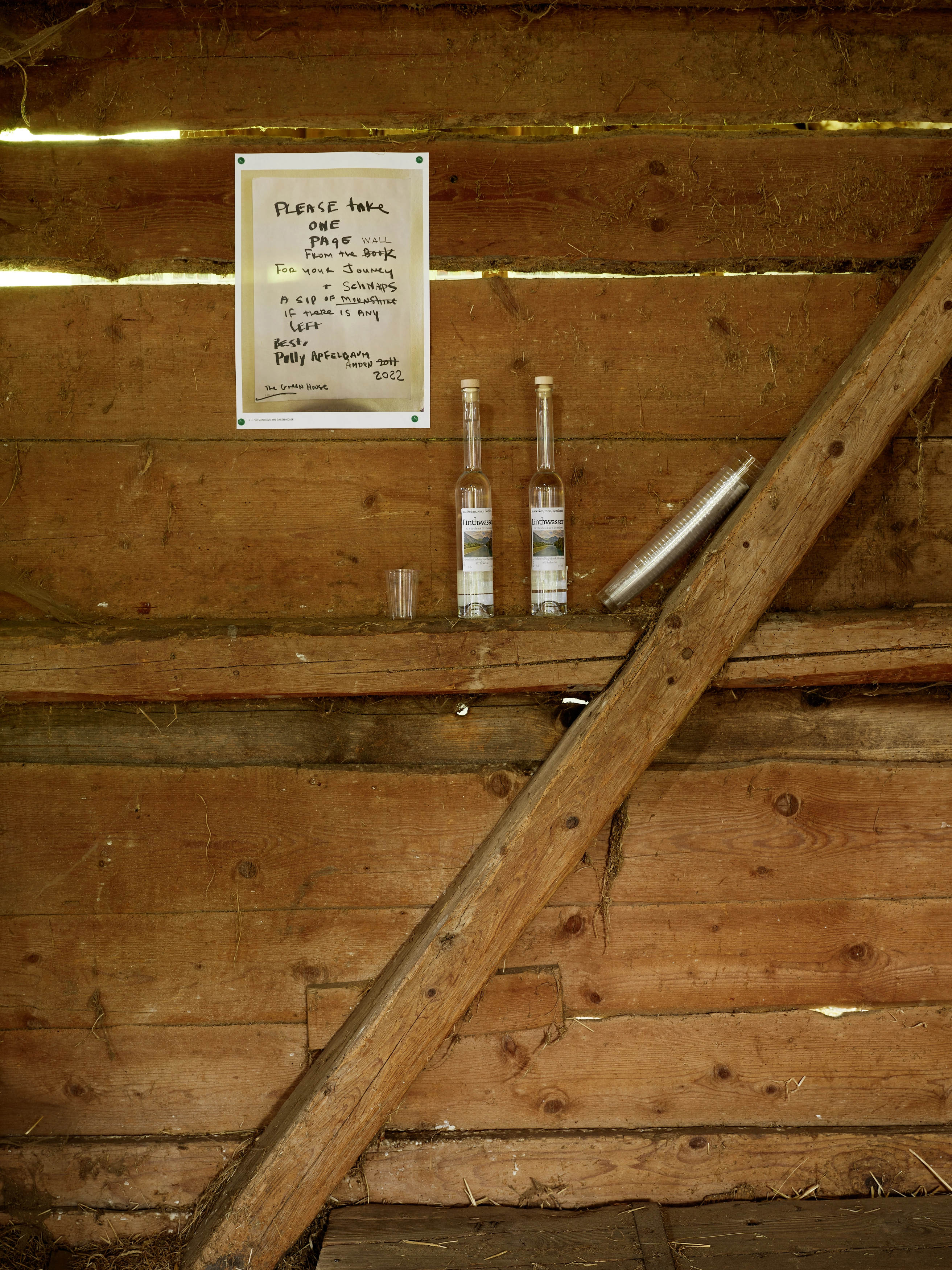 Polly Apfelbaum – Greenhouse, 2022 – Foto: David Aebi