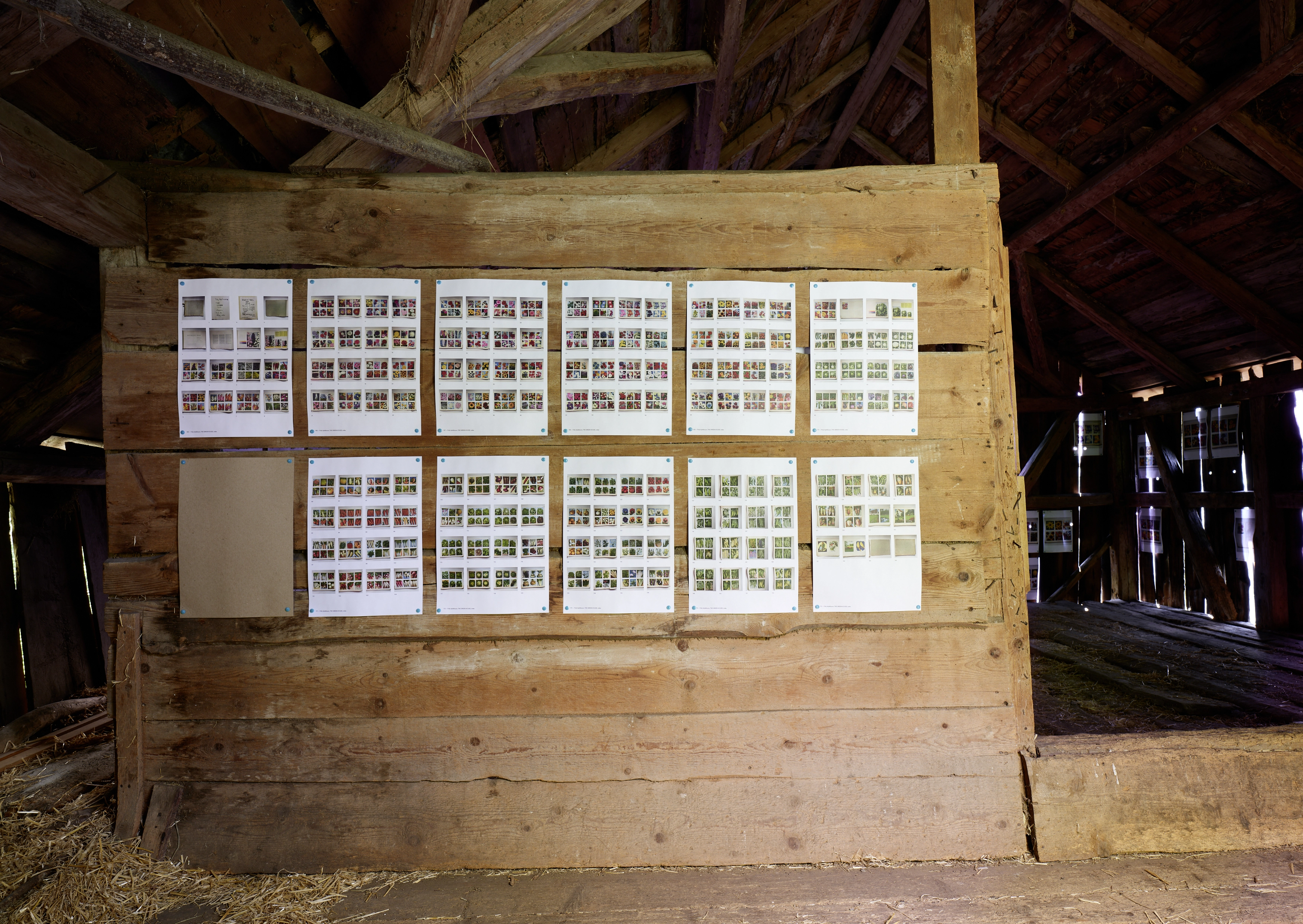 Polly Apfelbaum – Greenhouse, 2022 – Foto: David Aebi