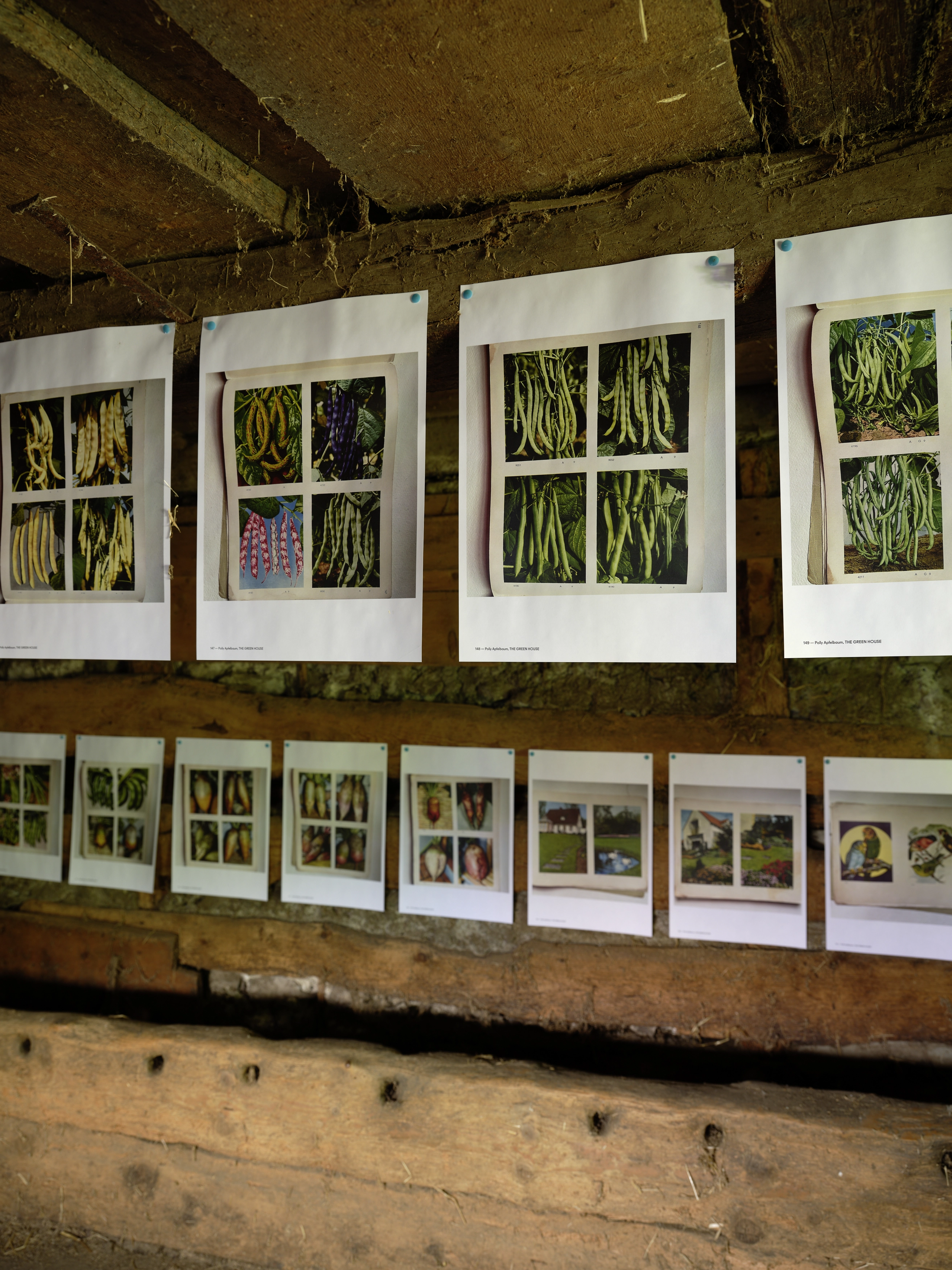 Polly Apfelbaum – Greenhouse, 2022 – Foto: David Aebi