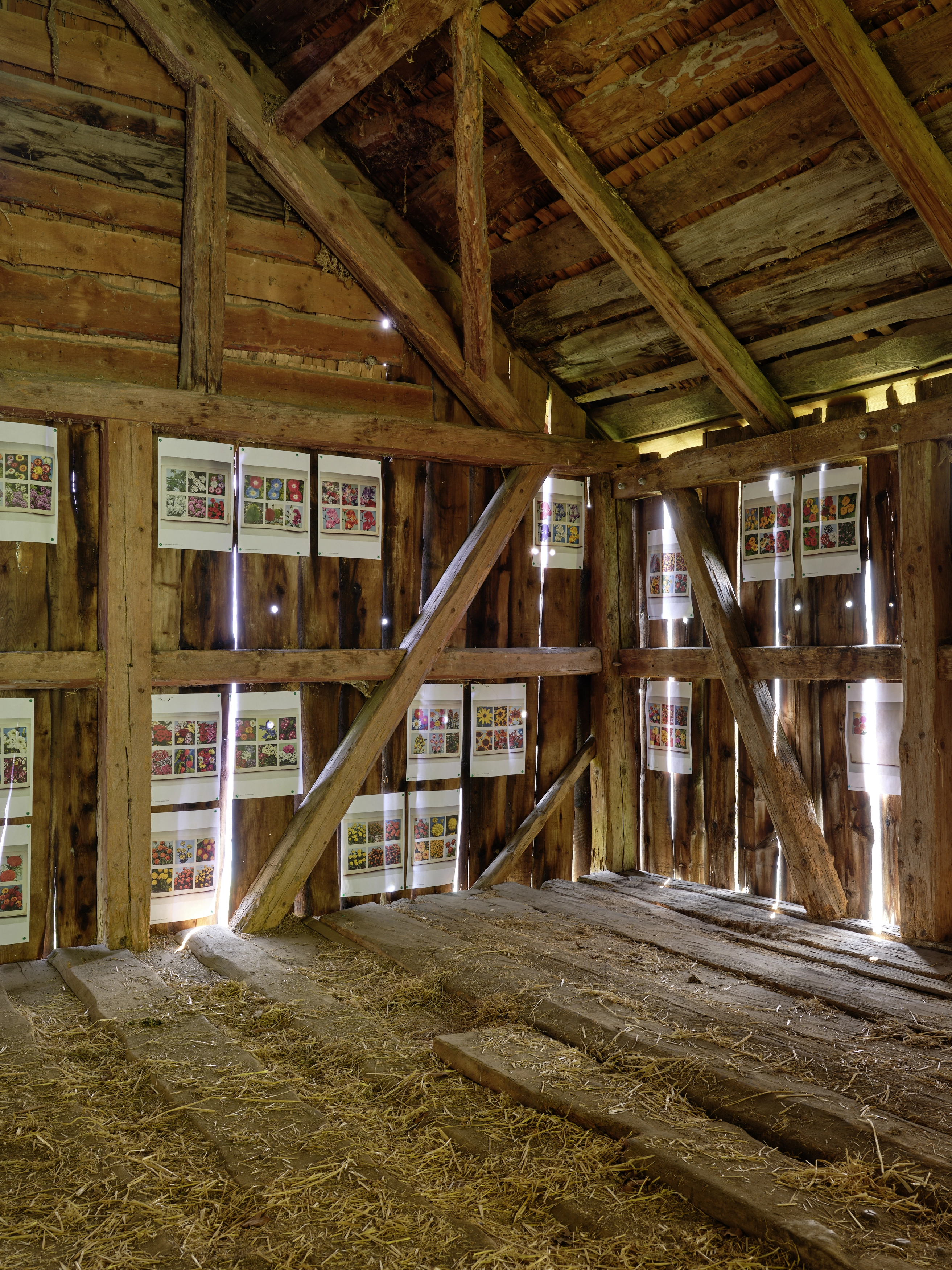 Polly Apfelbaum – Greenhouse, 2022 – Foto: David Aebi