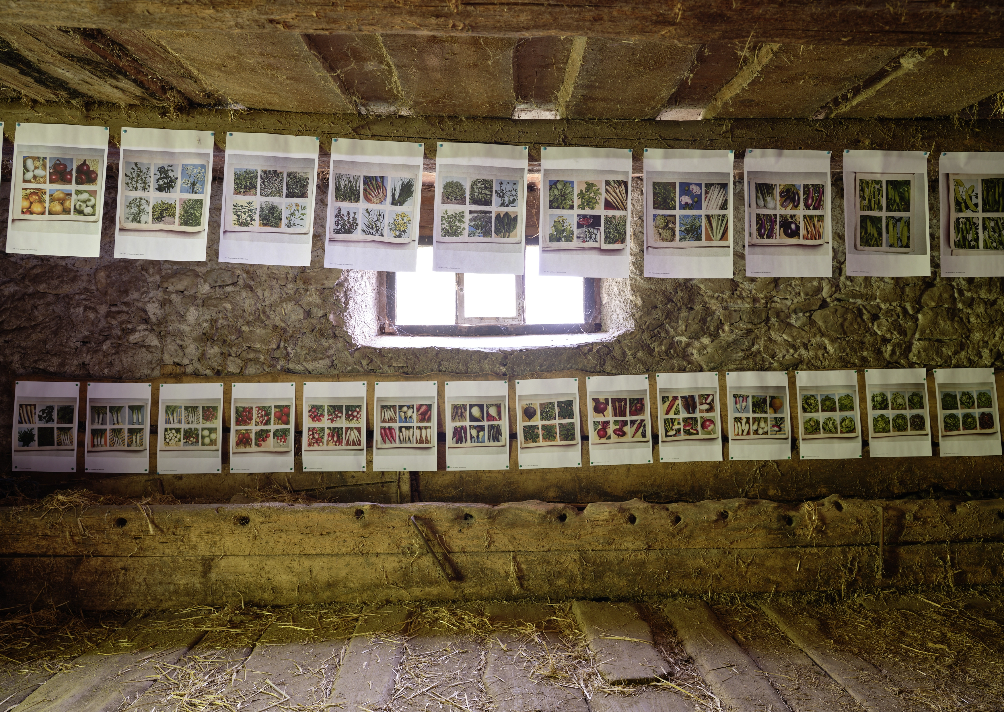 Polly Apfelbaum – Greenhouse, 2022 – Foto: David Aebi