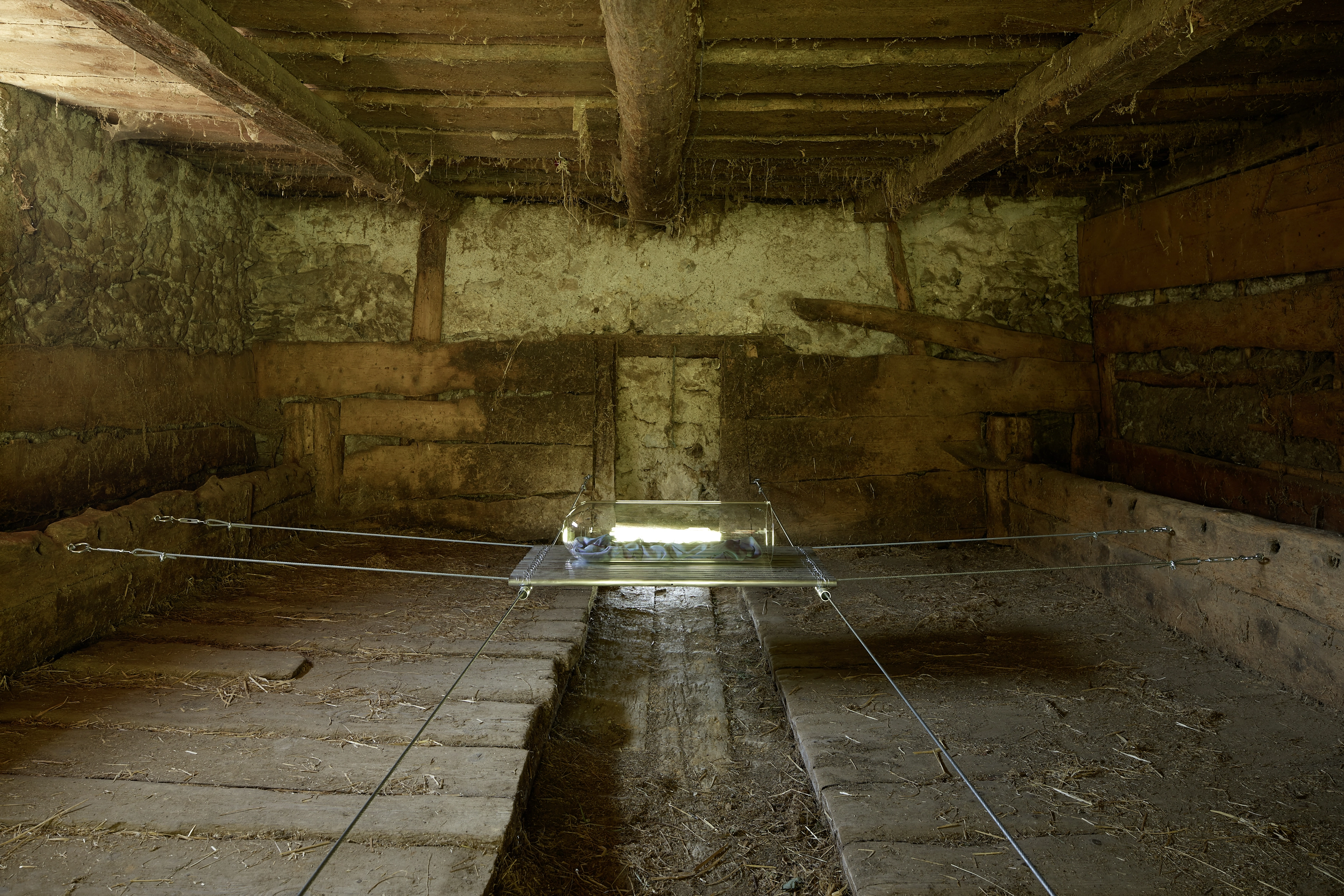 Marie Matusz – Golden Hour, 2019 – Foto: David Aebi