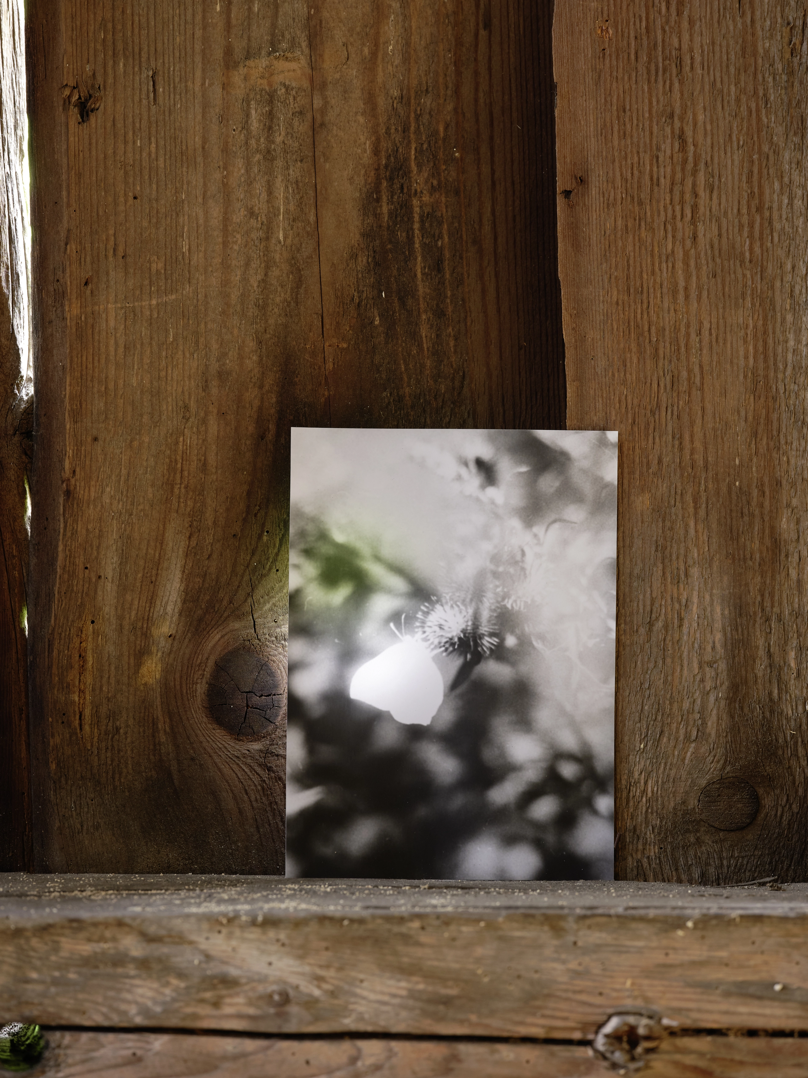 Jochen Lempert – Jochen Lempert – Photographien, 2020 – Foto: David Aebi