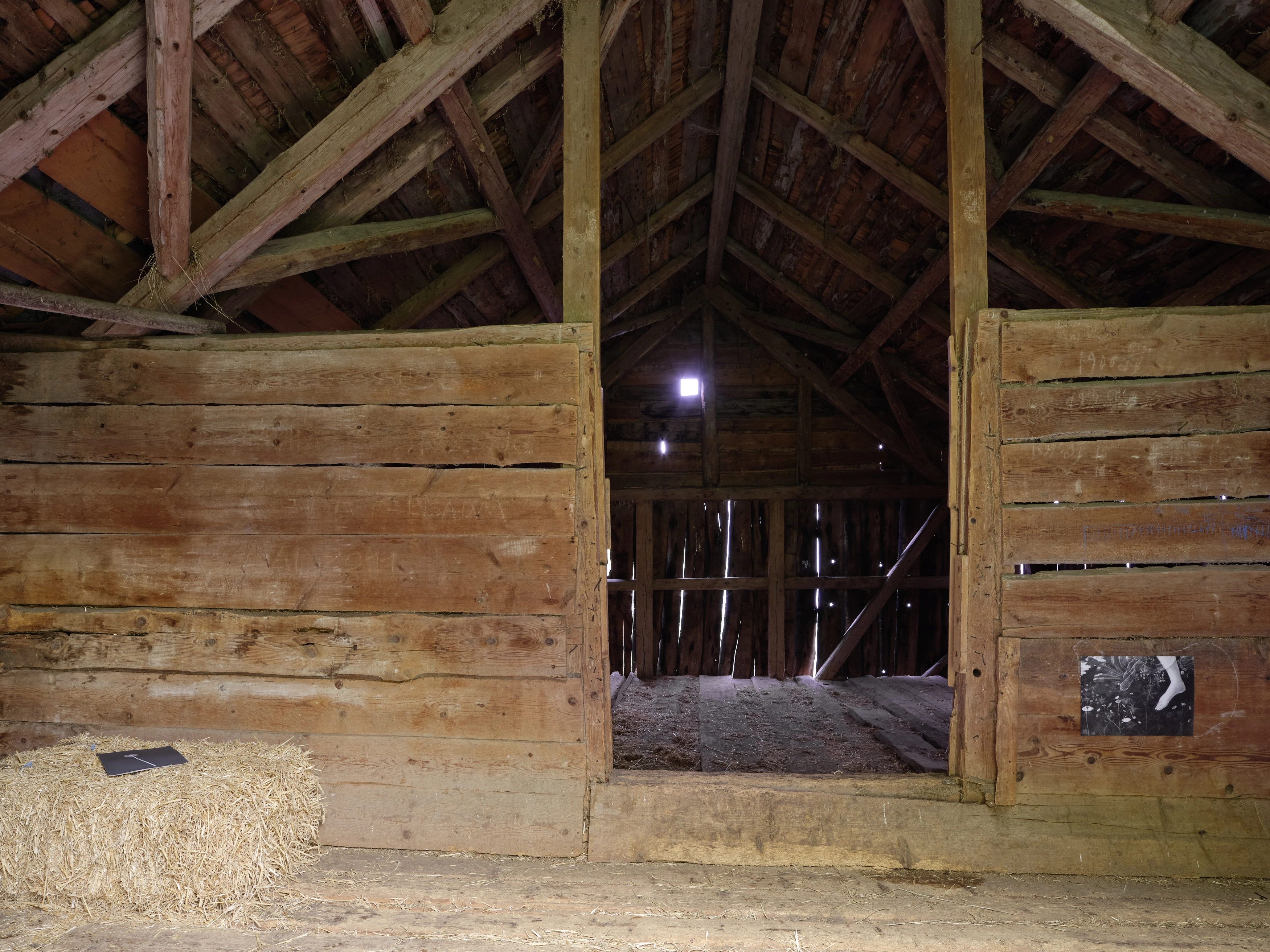 Jochen Lempert – Jochen Lempert – Photographien, 2020 – Foto: David Aebi