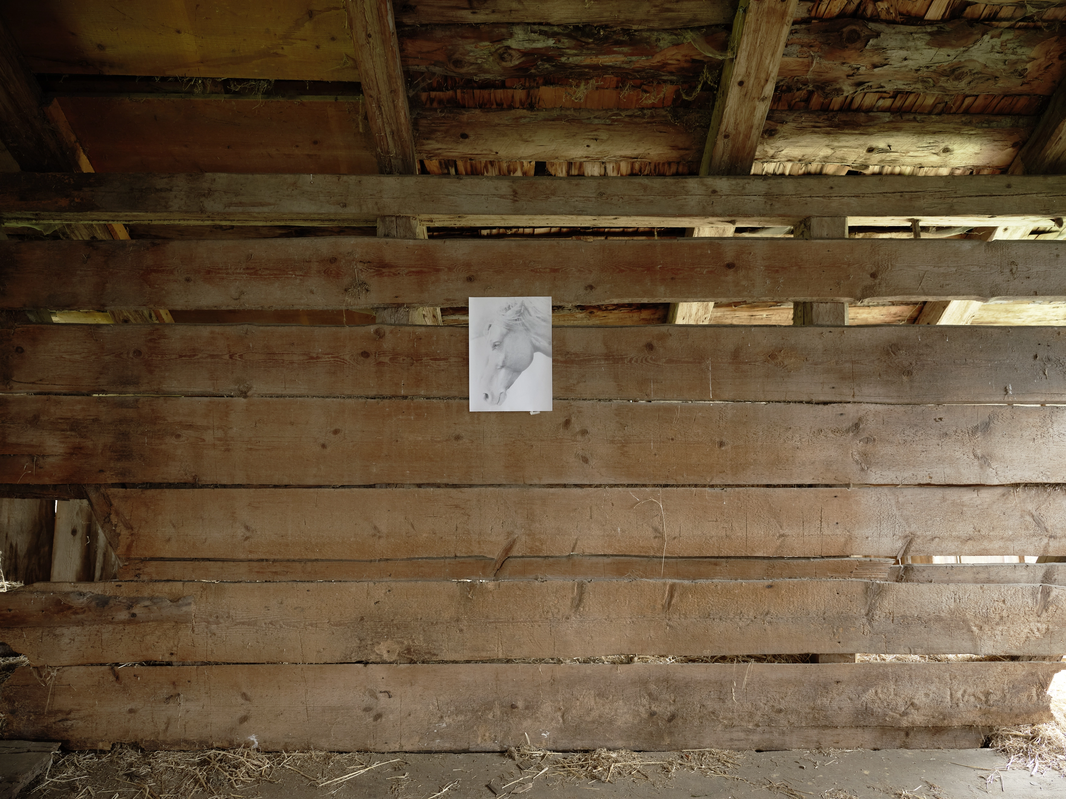 Jochen Lempert – Jochen Lempert – Photographien, 2020 – Foto: David Aebi