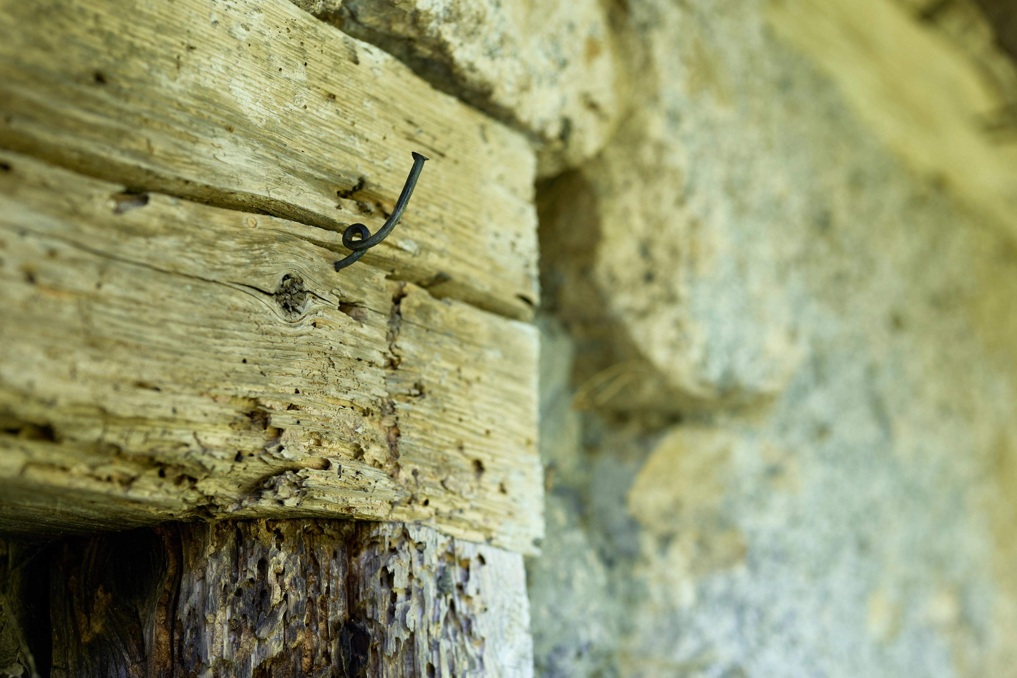 Judith Clark – Niklaus Manuel Deutsch ausstellen – Das Urteil des Paris II, 2018 – Photo: David Aebi