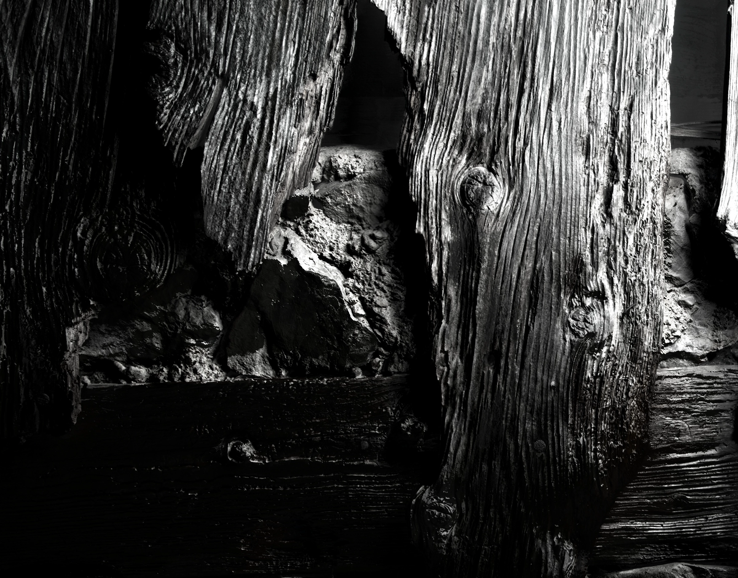 Elizabeth Wright – Involuntary Works, 2018 – Foto: David Aebi