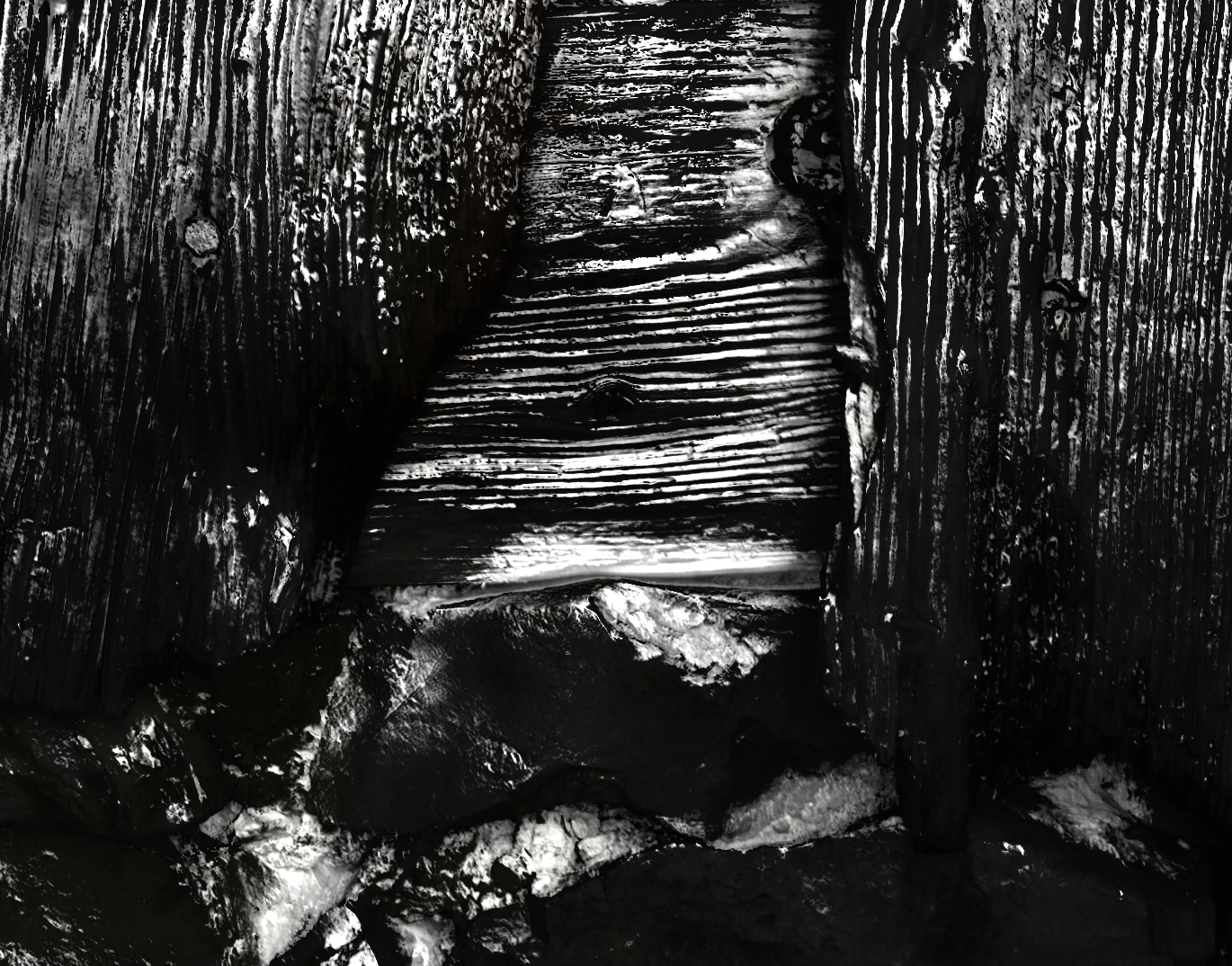 Elizabeth Wright – Involuntary Works, 2018 – Foto: David Aebi