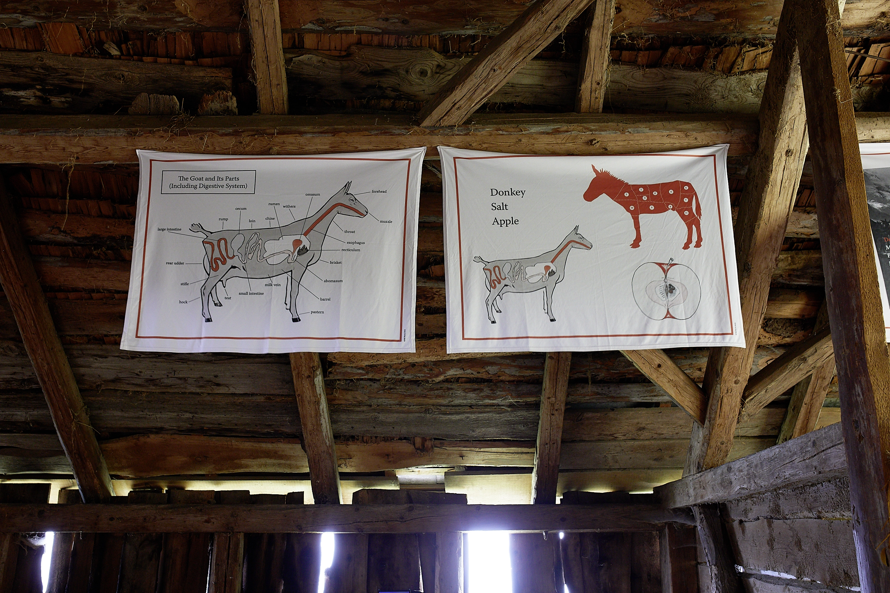 Bill Burns – The Salt, the Donkey, the Apple, 2018 – Foto: David Aebi