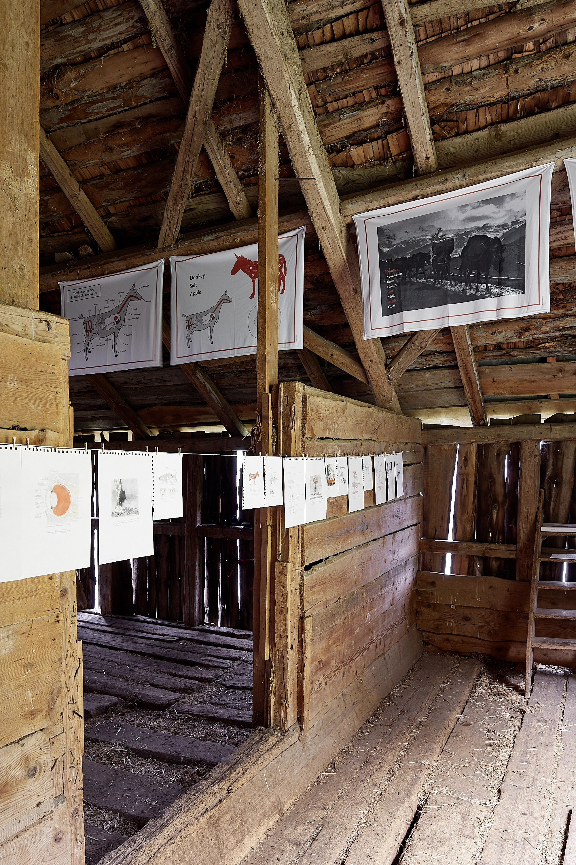 Bill Burns – The Salt, the Donkey, the Apple, 2018 – Foto: David Aebi