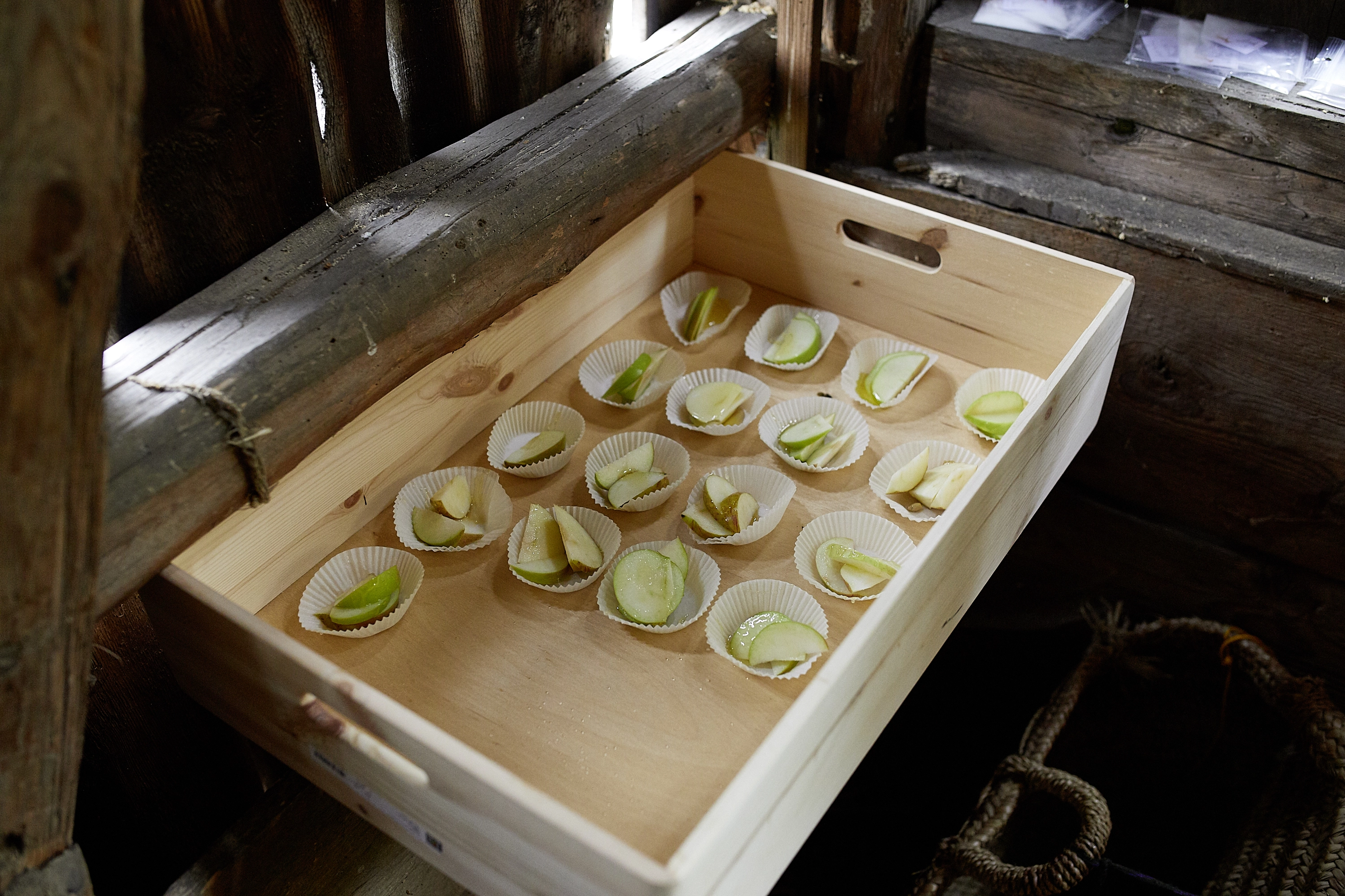 Bill Burns – The Salt, the Donkey, the Apple, 2018 – Foto: David Aebi