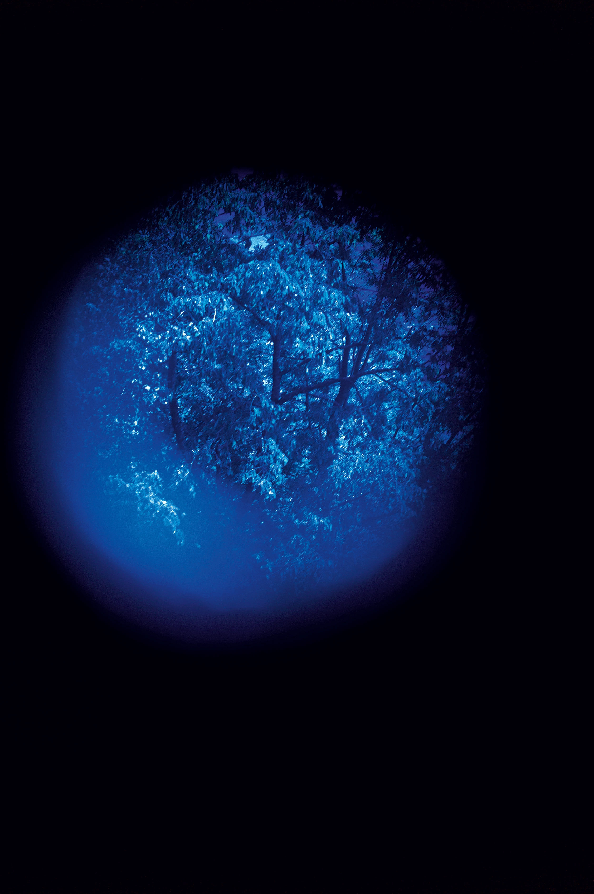 Shirana Shahbazi – Tageslicht, 2013 – Foto: Shirana Shahbazi