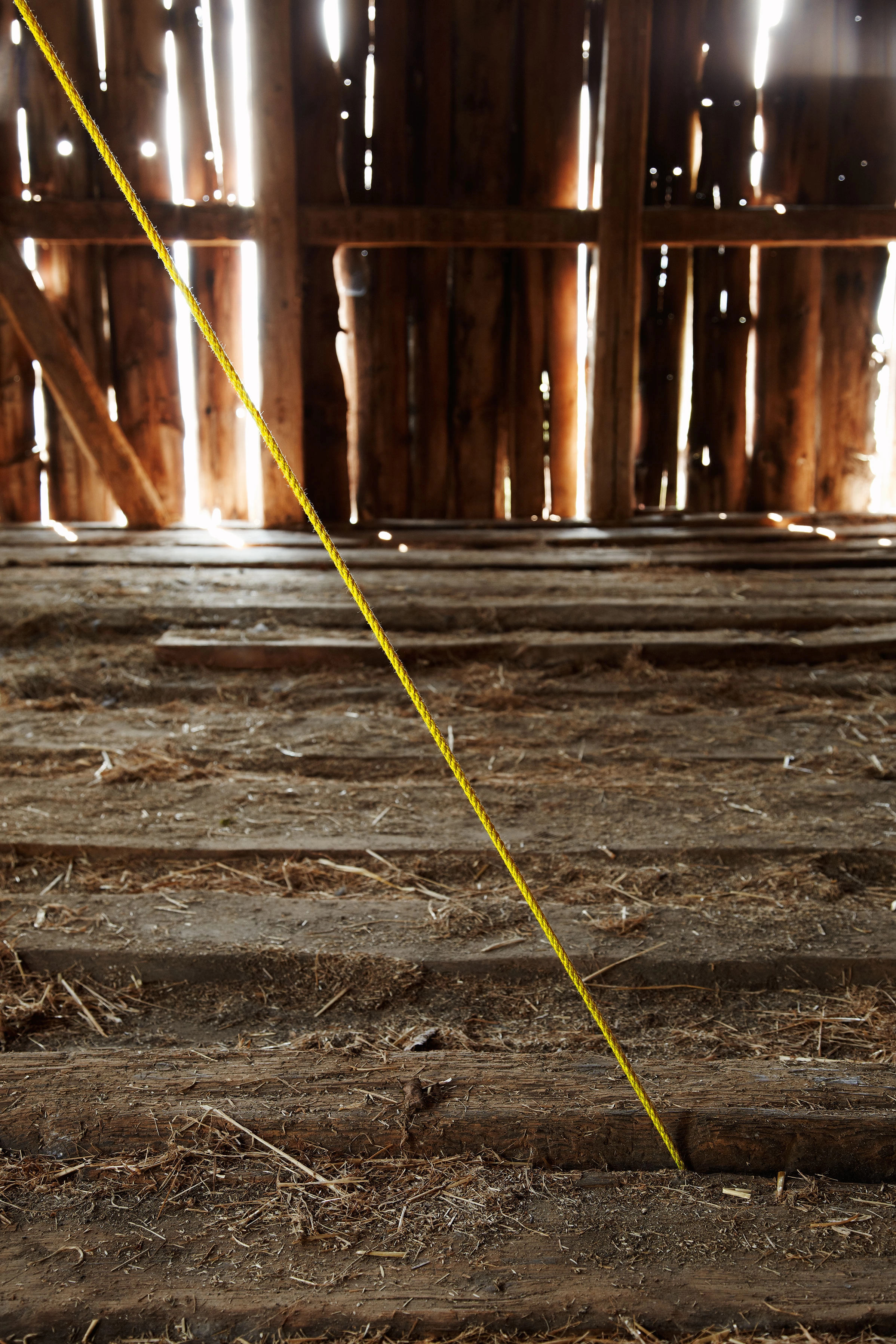 Brian O'Doherty – Taking a Line for a Walk, 2012 – Foto: David Aebi