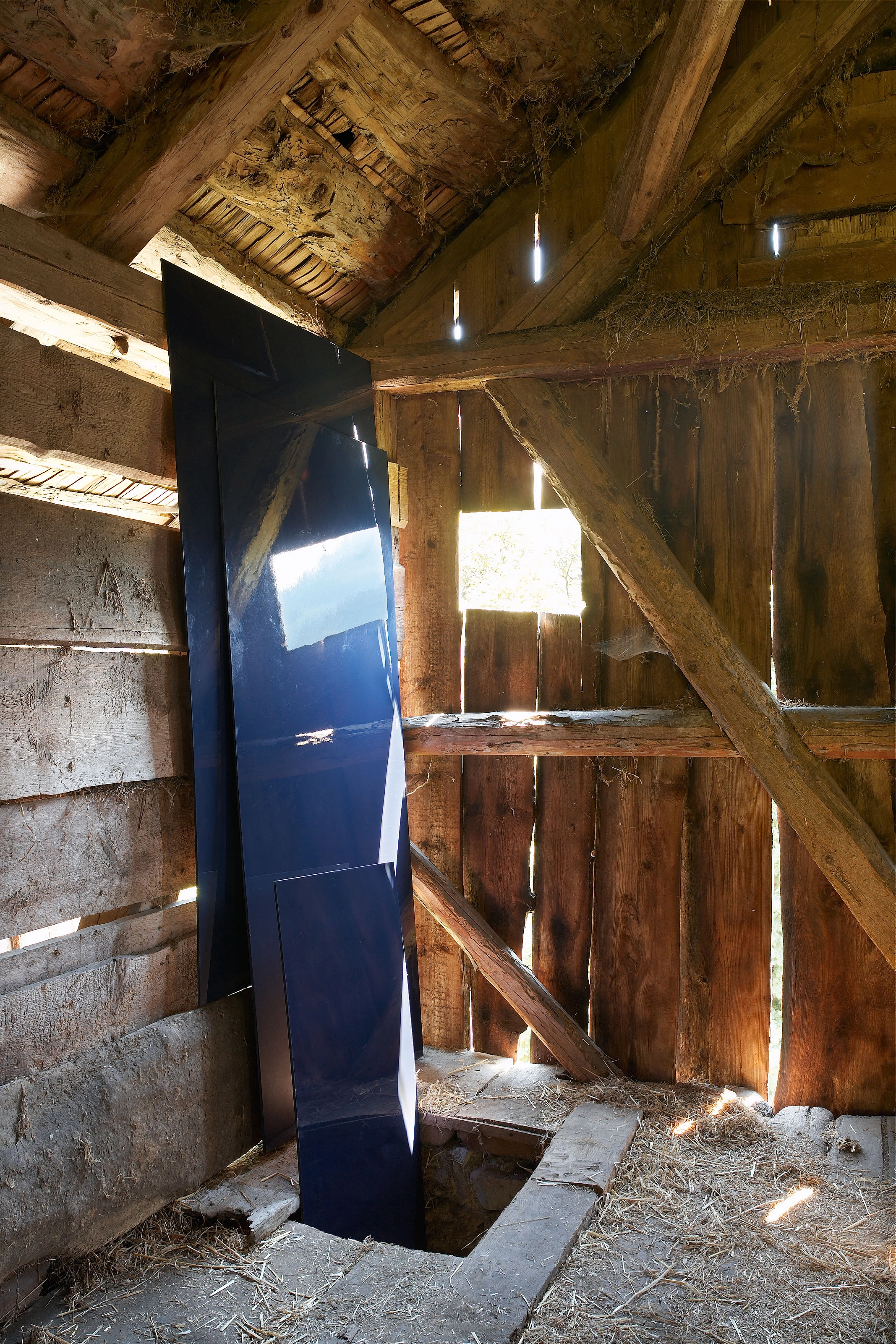 Karin Hueber – Die mondänen Besucher I und II, 2008 – Foto: David Aebi