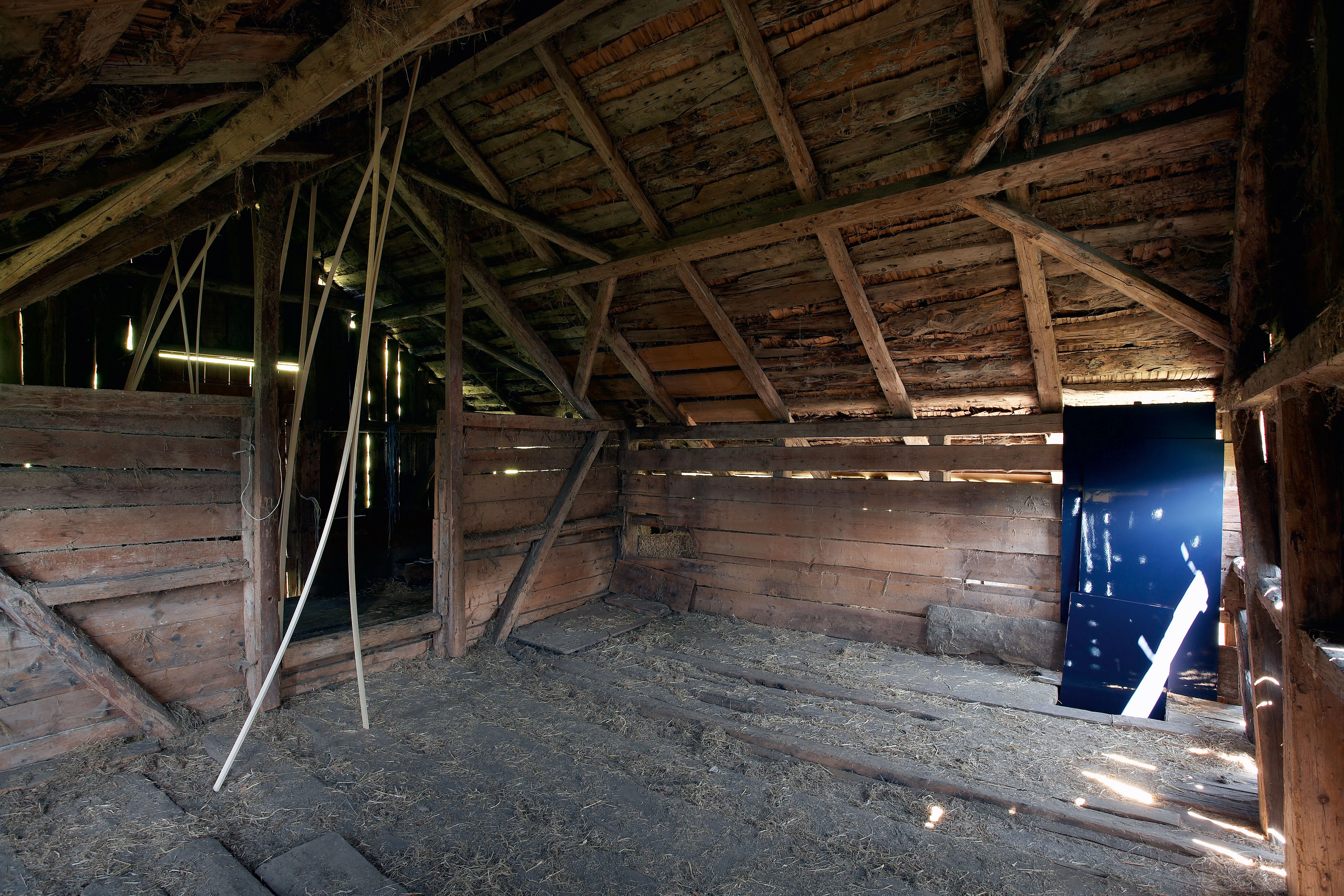 Karin Hueber – Die mondänen Besucher I und II, 2008 – Foto: David Aebi