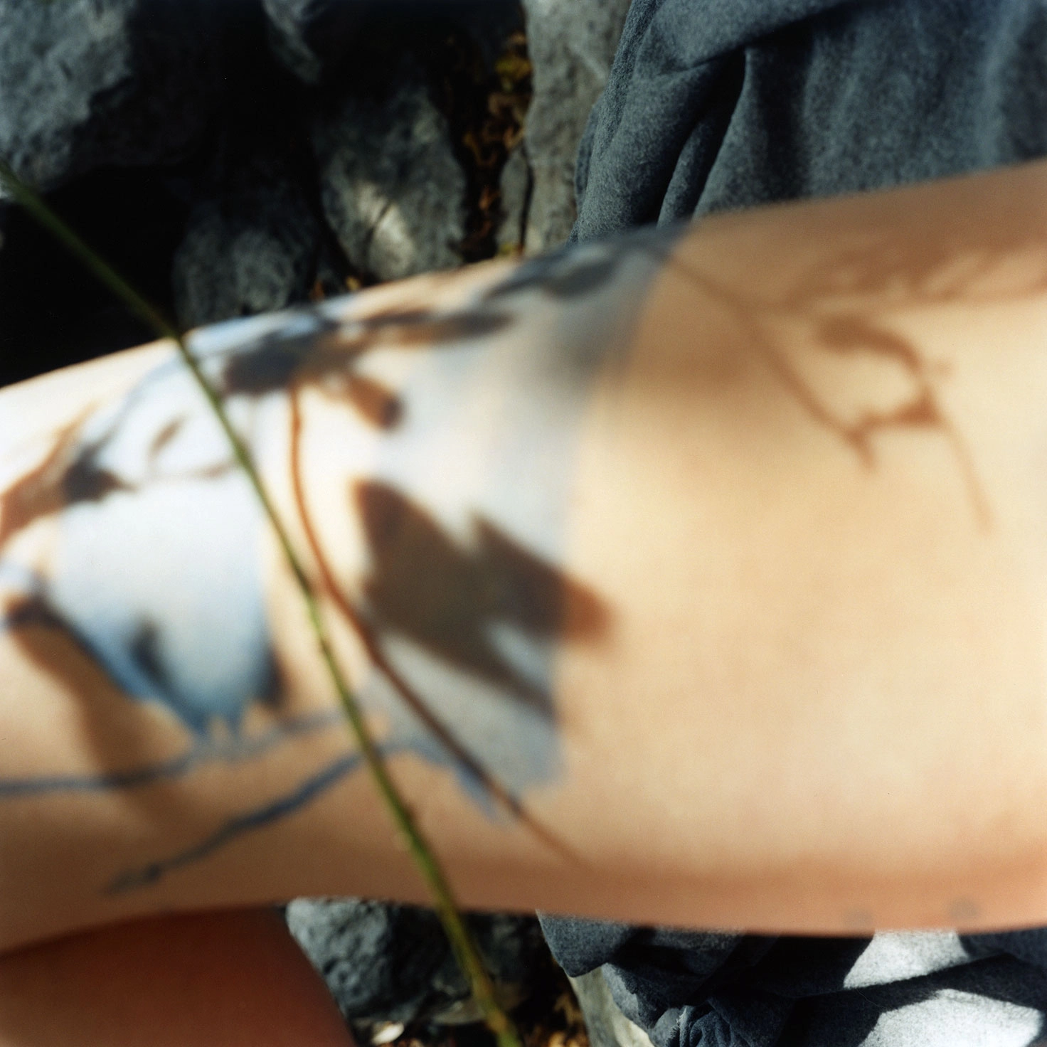 Sarah Rossiter – Amden (Lake, No. 2), 2003 – Photo: Sarah Rossiter