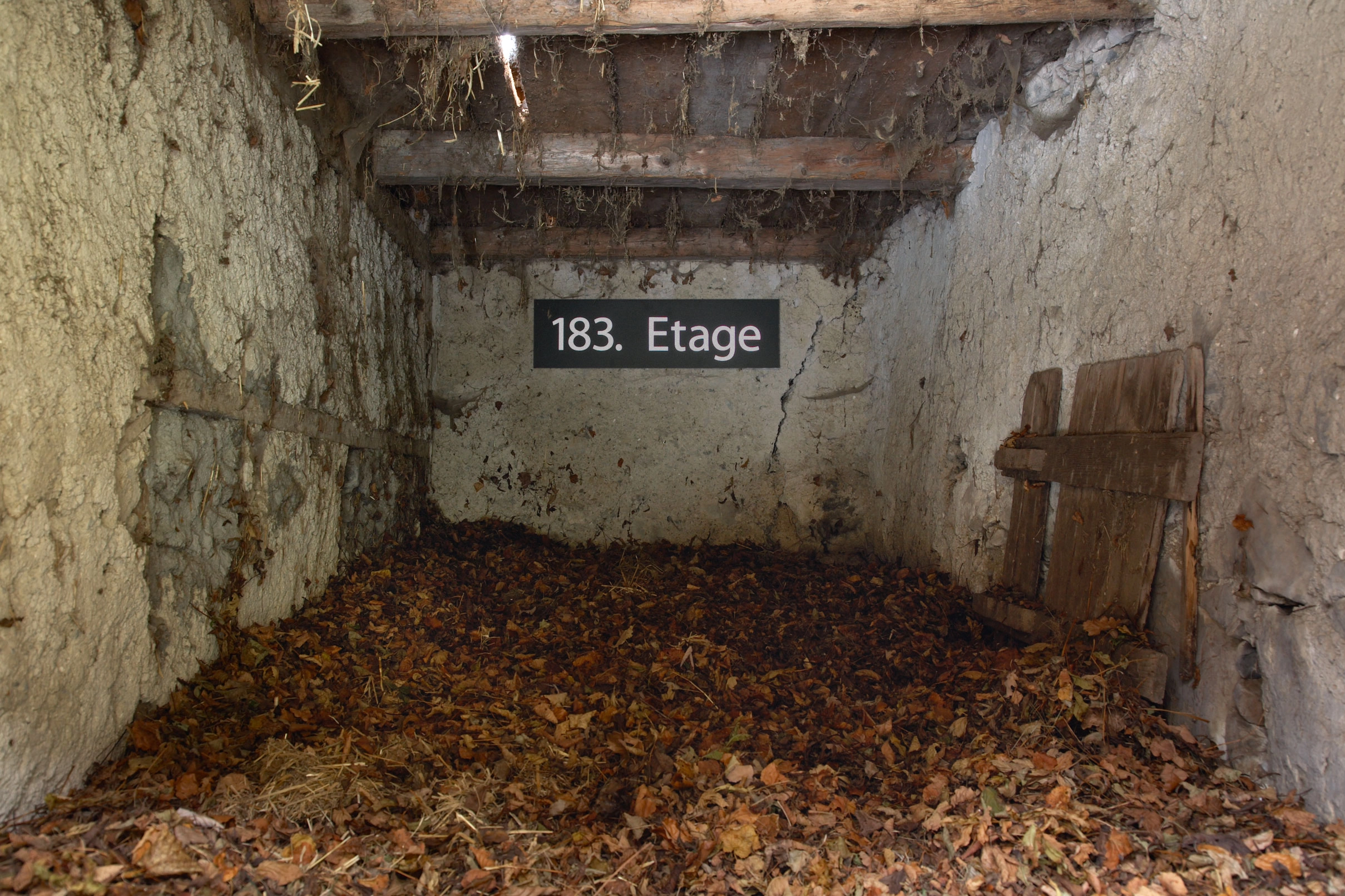 Elizabeth Wright – Hochhaus, 2003 – Foto: David Aebi