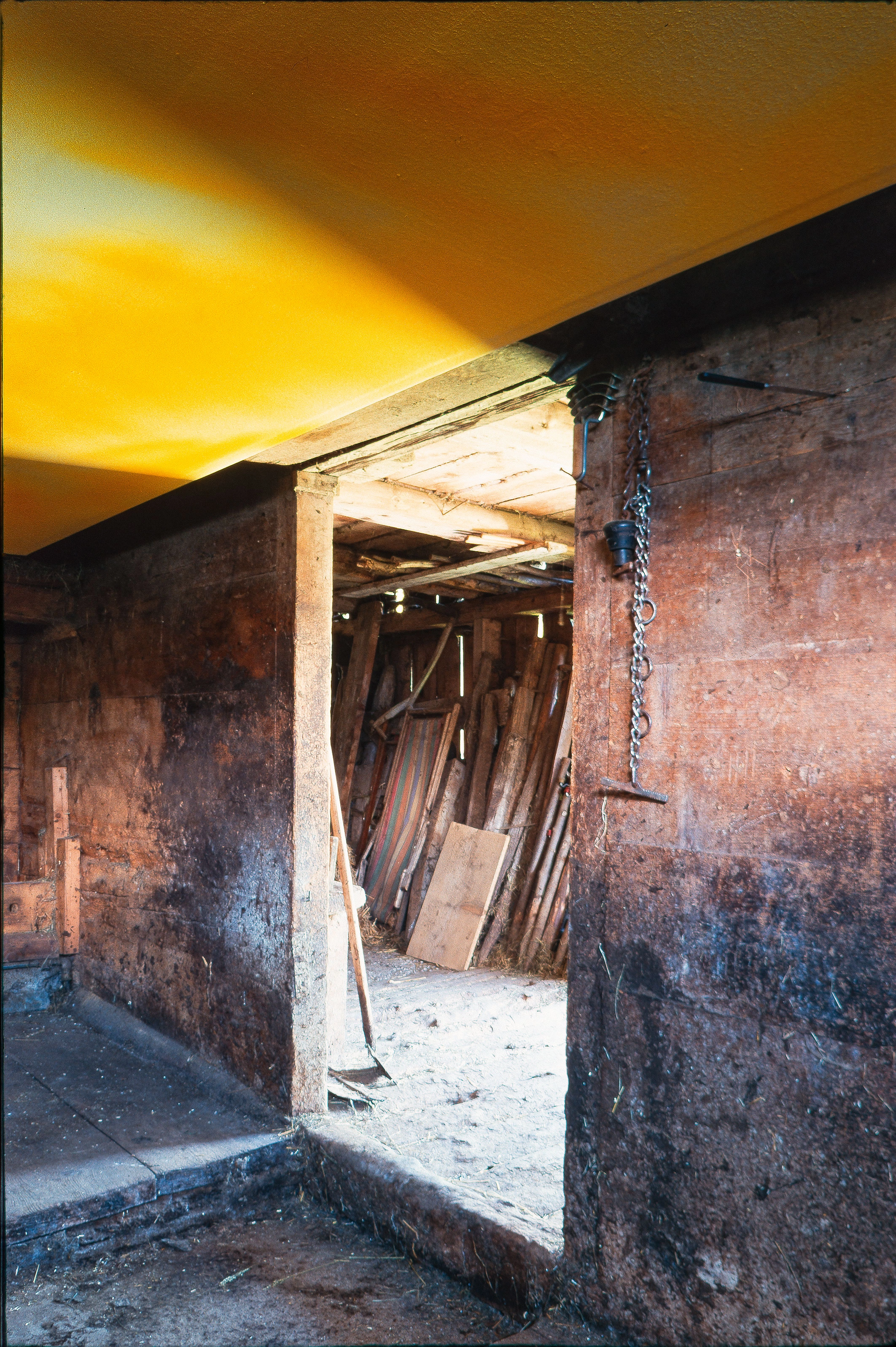 Katharina Grosse – Katharina Grosse, 1999 – Foto: Michael Fontana