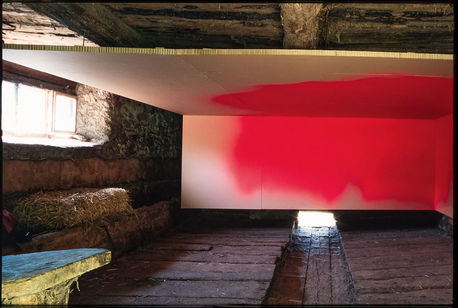 Katharina Grosse – Katharina Grosse, 1999 – Foto: Michael Fontana