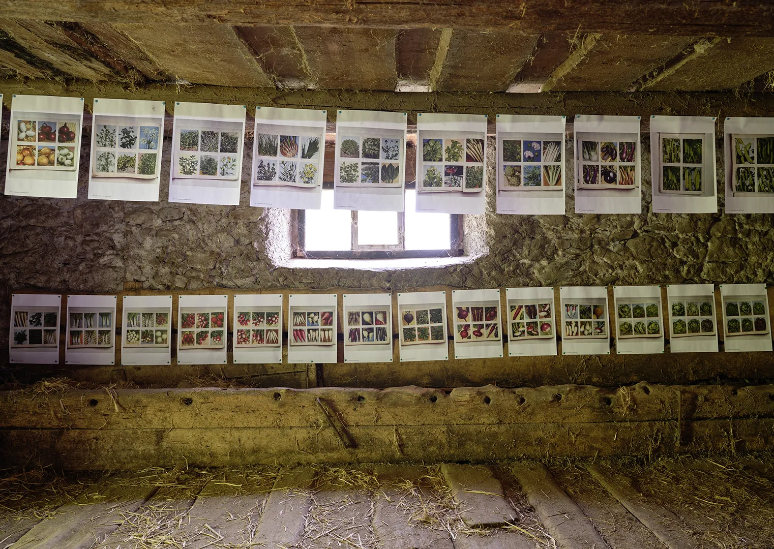 Polly Apfelbaum – Greenhouse, 2022 – Foto: David Aebi